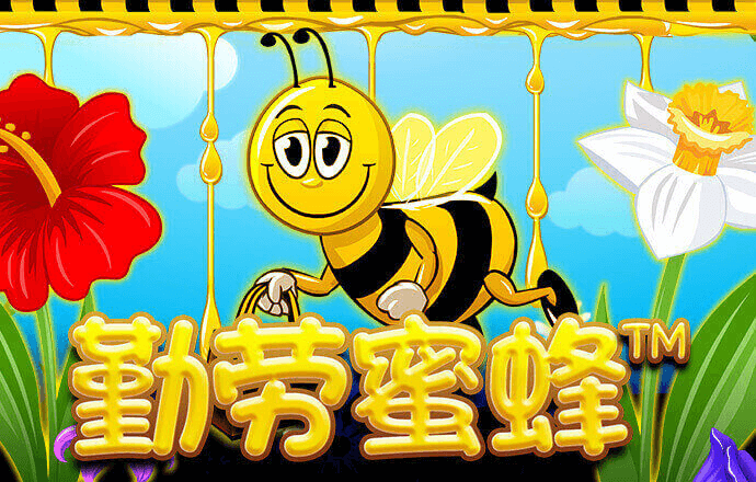 贝博体育app下载安卓